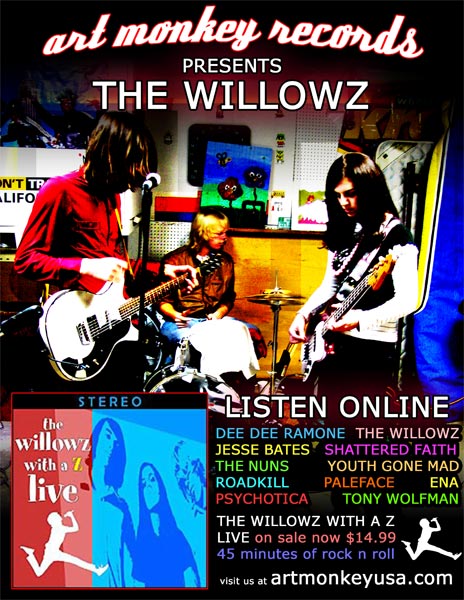 willowz-ad-lo_res